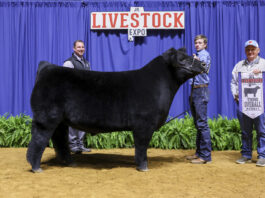 Local youth exhibit award-winning animals at State Livestock Expo