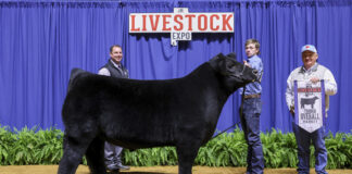 Local youth exhibit award-winning animals at State Livestock Expo