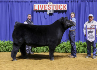 Local youth exhibit award-winning animals at State Livestock Expo