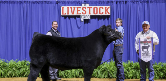 Local youth exhibit award-winning animals at State Livestock Expo