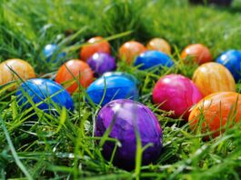 Local Easter Egg Hunts and events