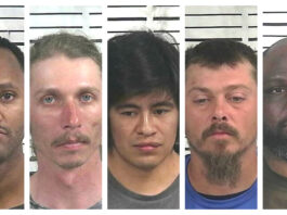 Cullman Police: Joint operation leads to 5 human trafficking arrests
