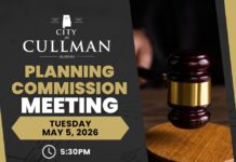Planning Commission calls for Comprehensive Plan update from city