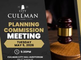 Planning Commission calls for Comprehensive Plan update from city