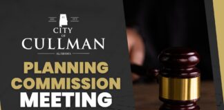 Planning Commission calls for Comprehensive Plan update from cityÂ