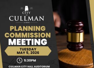 Planning Commission calls for Comprehensive Plan update from city