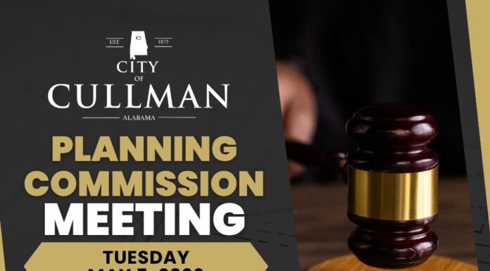 Planning Commission calls for Comprehensive Plan update from city