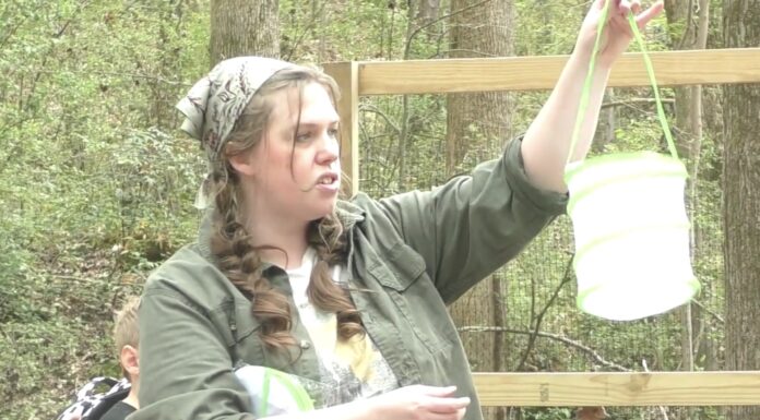 Barefoot University Butterfly Buffet