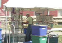 Bloomin’ Festival this weekend!