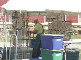 Bloomin’ Festival this weekend!