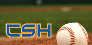 PREP BASEBALL: Big sixth inning helps propel Cold Springs to 11-6 win over Vinemont