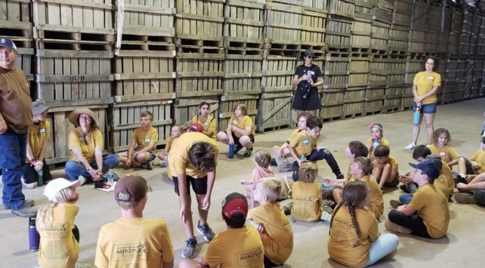 Agriplex hosting summer camps