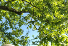 Know the difference between heat exhaustion and heat stroke