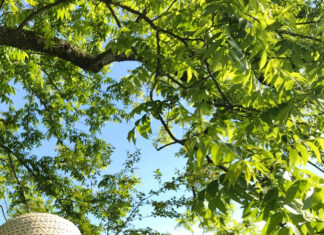 Know the difference between heat exhaustion and heat stroke