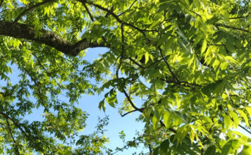 Know the difference between heat exhaustion and heat strokeÂ