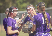 PREP SOFTBALL: Brackets and schedule for this weekend’s area tournament matchups