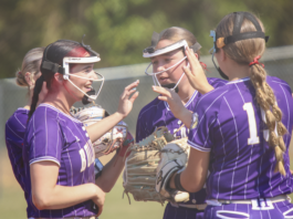 PREP SOFTBALL: Brackets and schedule for this weekend’s area tournament matchups