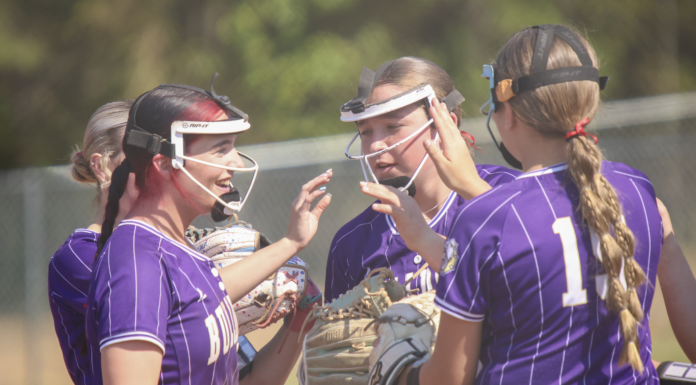 PREP SOFTBALL: Brackets and schedule for this weekend’s area tournament matchups