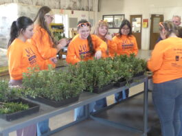 Wallace State hosts Jill of All Trades event