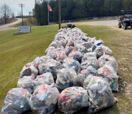 Cullman County PALS calls for volunteers, urges residents to stop littering