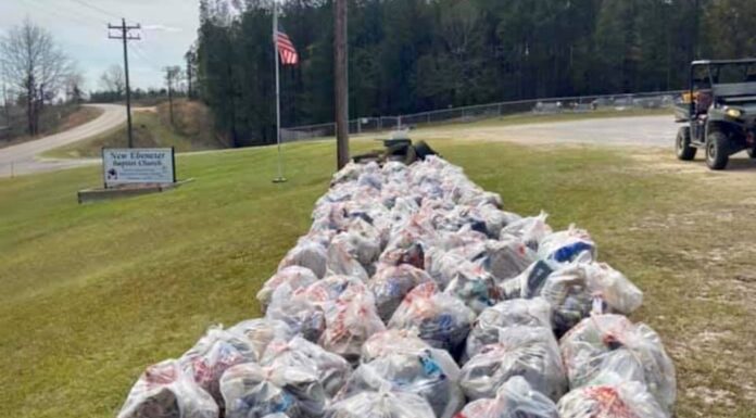 Cullman County PALS calls for volunteers, urges residents to stop littering