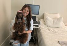 Bunnies & Buttons Baby Co., featuring 4D ultrasound, opens in Cullman