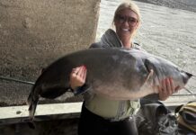 Local angler lands 72-pound catfish, celebrates love of fishing and family