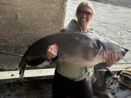 Local angler lands 72-pound catfish, celebrates love of fishing and family