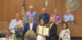 Cullman City Council approves tax abatement for ‘Project Panel’