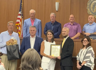 Cullman City Council approves tax abatement for ‘Project Panel’