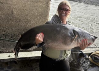Local angler lands 72-pound catfish, celebrates love of fishing and family