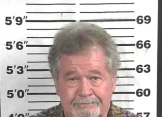 Hayden man arrested in fatal Highway 157 crash in Cullman