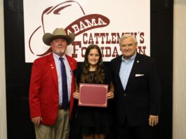 Annalee Allen awarded Tagged for Academic Excellence Scholarship
