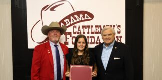 Annalee Allen awarded Tagged for Academic Excellence Scholarship