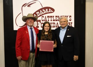 Annalee Allen awarded Tagged for Academic Excellence Scholarship