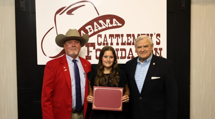 Annalee Allen awarded Tagged for Academic Excellence Scholarship