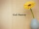 Obituary: Gail Hanvey