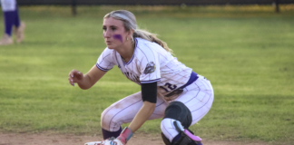 PREP SOFTBALL: First round regional pairings set for Addison, Meek, Hanceville and Good Hope