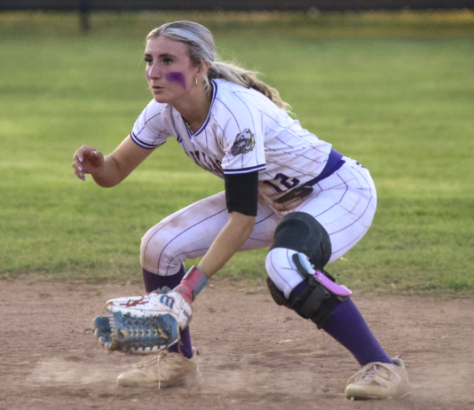 PREP SOFTBALL: First round regional pairings set for Addison, Meek, Hanceville and Good Hope