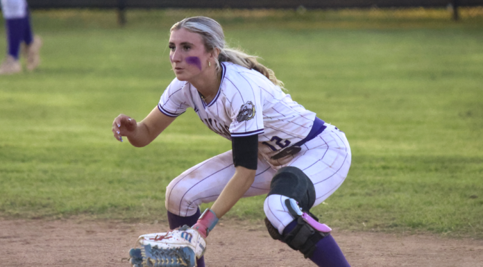 PREP SOFTBALL: First round regional pairings set for Addison, Meek, Hanceville and Good Hope