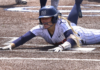 No. 13 WSCC softball finishes regular season with four straight wins over Coastal Alabama – South; ACCC Tournament bracket set to begin Thursday