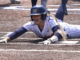 No. 13 WSCC softball finishes regular season with four straight wins over Coastal Alabama – South; ACCC Tournament bracket set to begin Thursday
