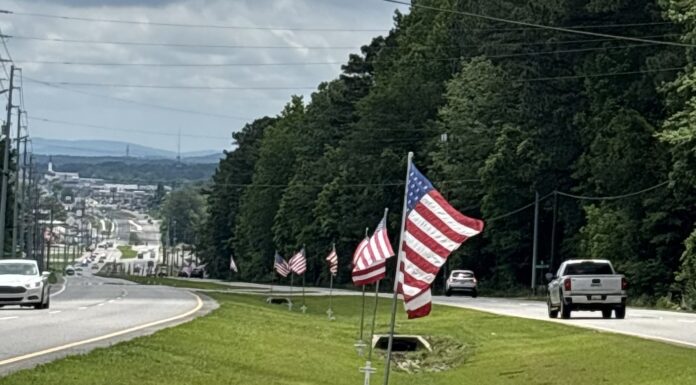 ‘Never forget the cost of our freedom’
