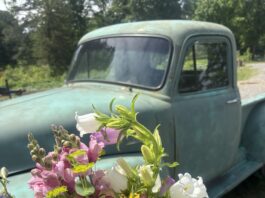 Red Barn Farm Flower Cottage: ‘Bloom where God has you right now’