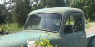 Red Barn Farm Flower Cottage: ‘Bloom where God has you right now’