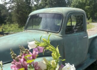 Red Barn Farm Flower Cottage: ‘Bloom where God has you right now’