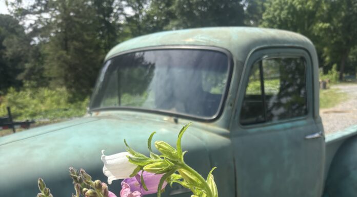 Red Barn Farm Flower Cottage: ‘Bloom where God has you right now’