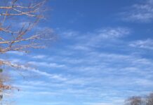Seasonal safety: Heat and water