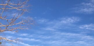 Seasonal safety: Heat and water