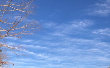 Seasonal safety: Heat and water